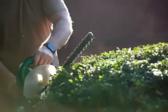 Professional landscape worker neatly trimming and shaping a lush tall garden hedge